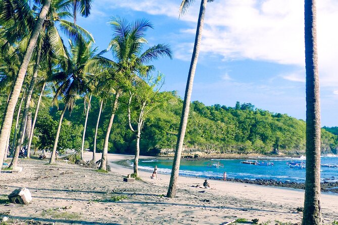 One Day Nusa Penida Island West Part (All-Inclusive)DJ - Booking