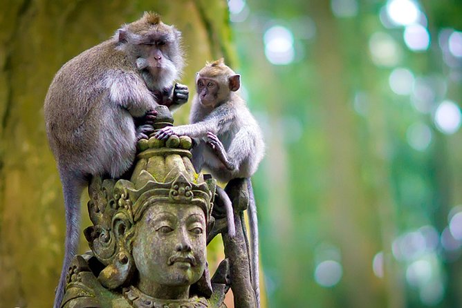 One Day Tour Bali - √Sangeh (Monkey Forest) √Bedugul √Sunset at Tanah Lot - Cancellation Policy