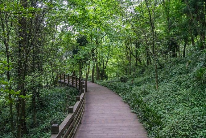 One Day Trip to Panda Base and Taoist Mt Qingcheng - Additional Activities and Amenities