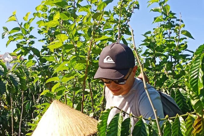 Organic Coffee Farm, Discover How to Make Specialty Coffee Da Lat - Frequently Asked Questions