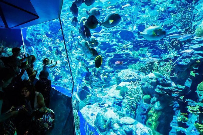 PATTAYA: Join Tour Under Water World Pattaya - Additional Information