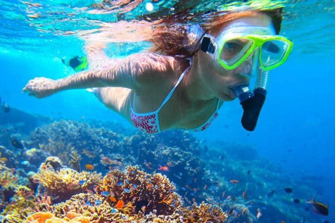 Phi Phi Day Trip With Maya Bay and Khai Islands - The Sum Up