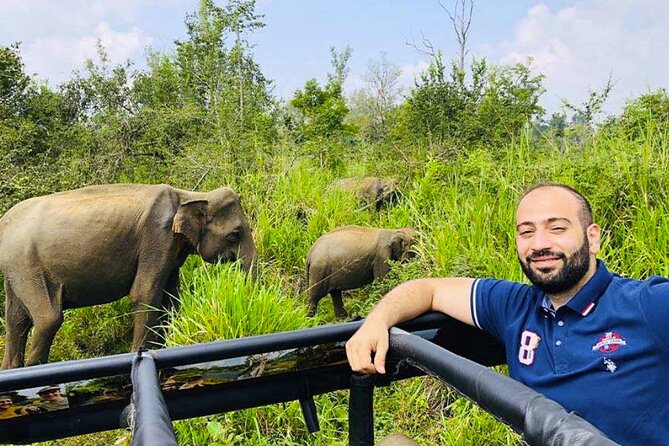 Polonnaruwa Ancient City and Wildlife Safari From Colombo - What To Expect