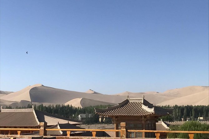 Private 6-Night Silk Road Tour From Dunhuang to Kashgar - Operator Information