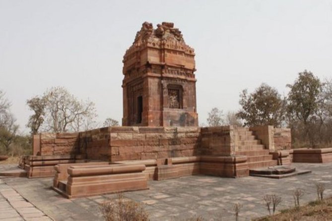 Private 8-Day Rajasthan Tour of Udaipur, Neemrana & Lake Pichola From Delhi - Pricing and Booking