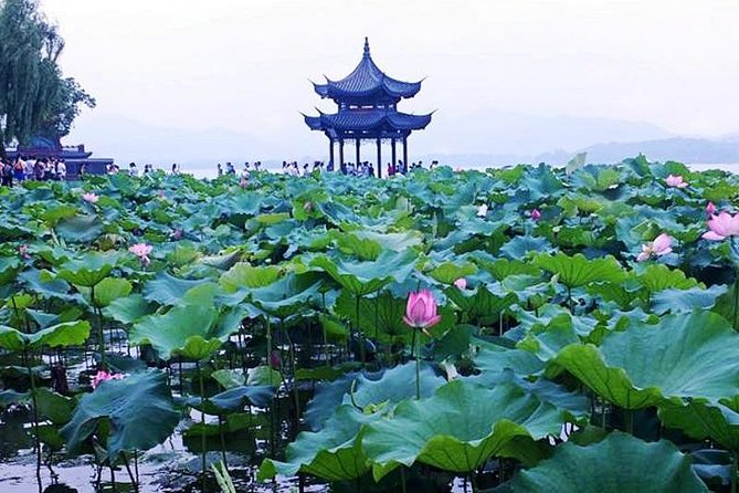 Private Customized Hangzhou City Highlights and Xitang Water Town Comb Tour - The Sum Up