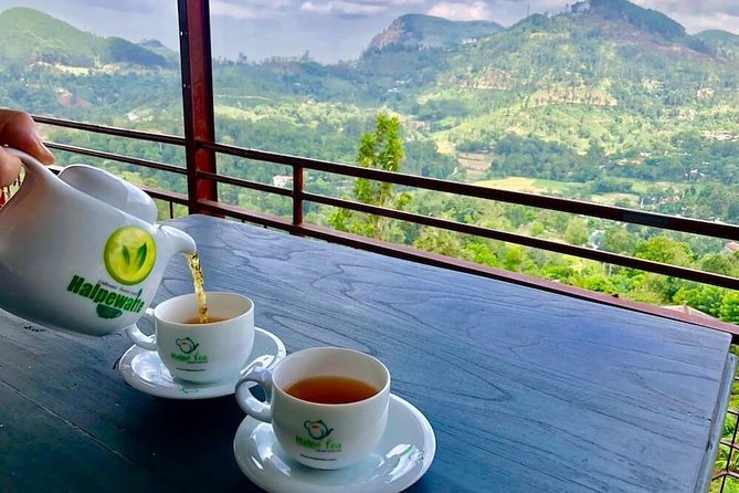 Private Day Tour Of Kandy From Galle and Bentota - Booking Information