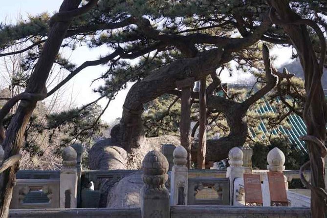Private Day Tour to Tanzhe Temple, Jietai Temple & Summer Palace With Lunch - The Sum Up