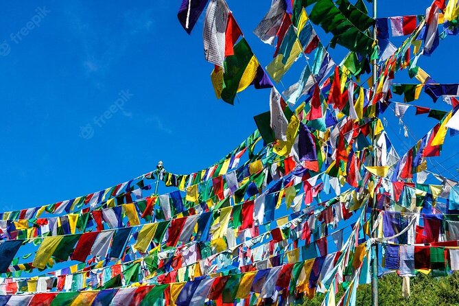 Private Full Day Manali City Tour - What To Expect