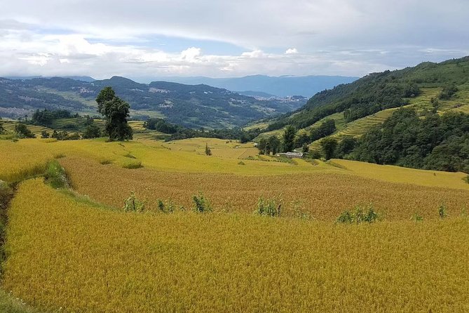 Private Overnight Tour to Yuanyang Rice Terraces From Kunming - Price and Inclusions