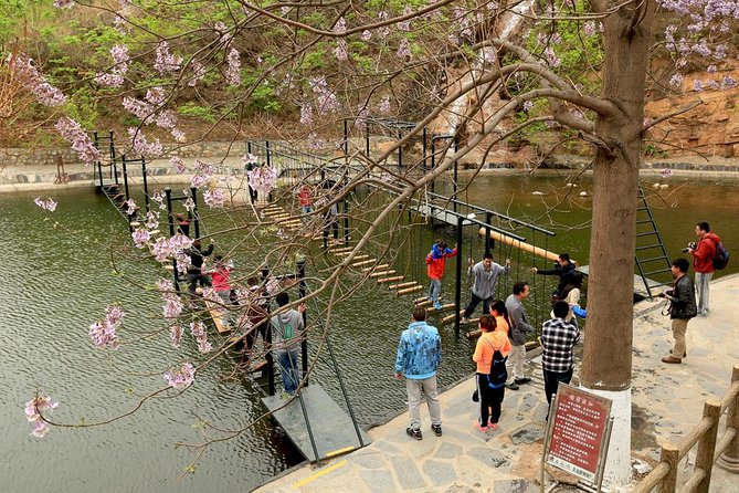 Private Shilinxia Area and UFO Glass Platform Day Tour With Lunch - Cancellation Policy