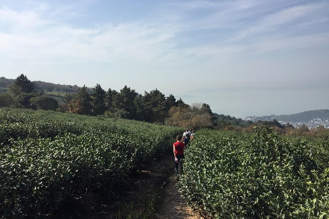Private Suzhou Hiking Tour With Luxiang Ancient Village by Taihu Lake - Pricing Details