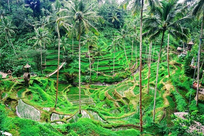 Private Tour Barong Dance, Ubud Art Village And Batur Volcano - Directions