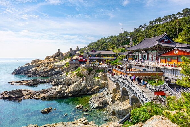 Private Tour Best of Busan Full Day - Additional Info