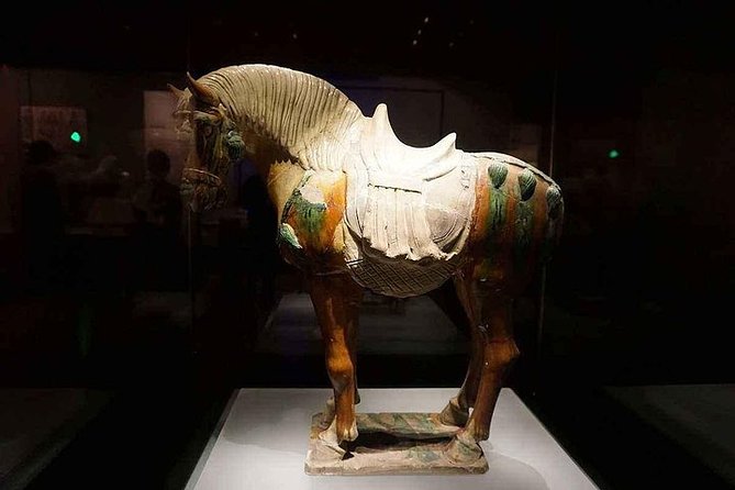 Private Tour: Xian Half Day - Shaanxi History Museum and Big Wild Goose Pagoda - Itinerary Details