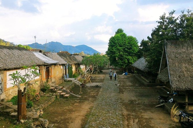 Private Tours East Of Bali Kertagosa And Goa Lawah Temple - Important Information