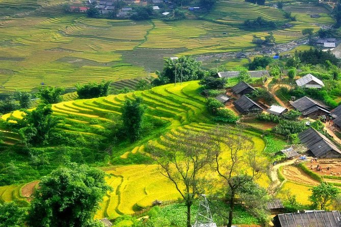 Sapa Easy Trek With Bac Ha Market 2D3N - Additional Info