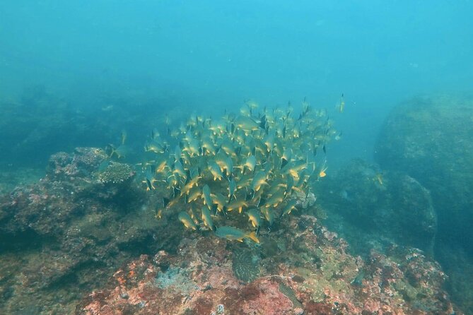 Scuba Diving in Hikkaduwa - Meeting Point