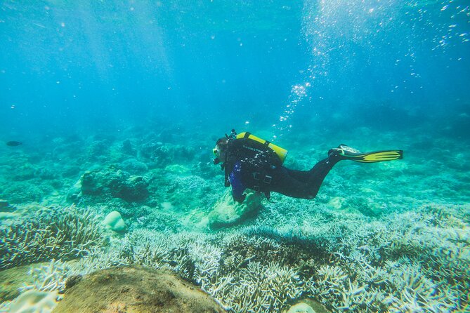 Scuba Diving in Trincomalee - Note: Important Information