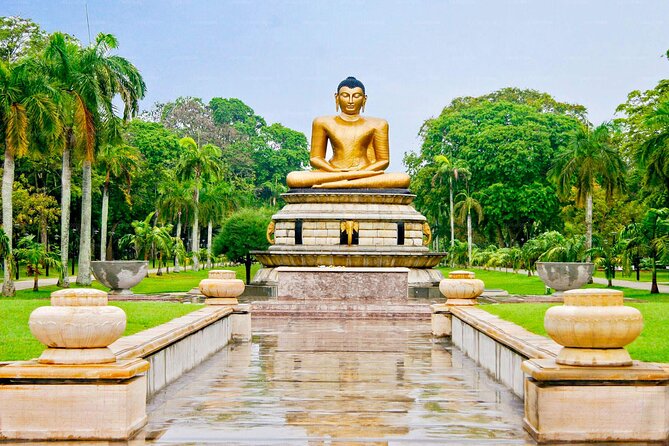 Short City Tour of Colombo With Lunch During Transit in Airport (Bia) - Drop-off Information