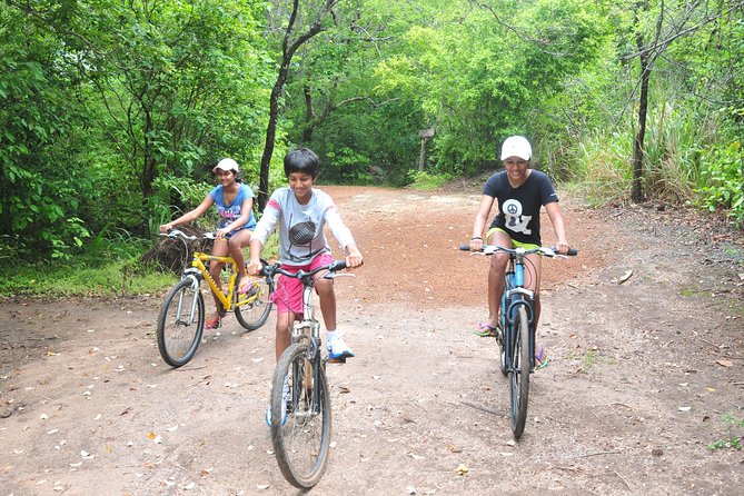 Sigiriya Cycle Tour: Explore Village Life in Sigiriya & Enjoy a Village Lunch - The Sum Up