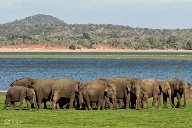 Sigiriya & Minneriya Safari Tour From Kandy - Exclusions