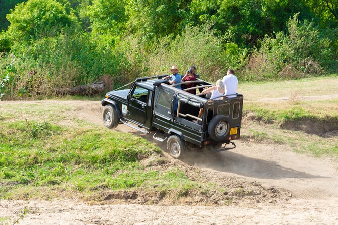Sigiriya Rock and Wild Elephant Safari From Dambulla - Important Information