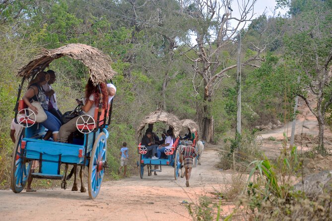 Sigiriya Village Tour From Habarana - Return to Habarana