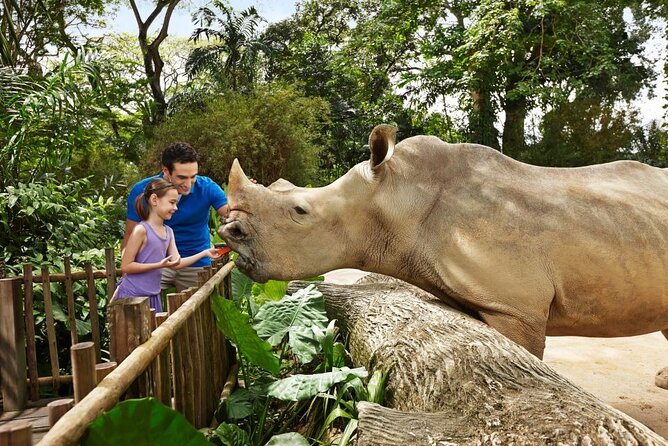 Singapore Zoo - Park Policies