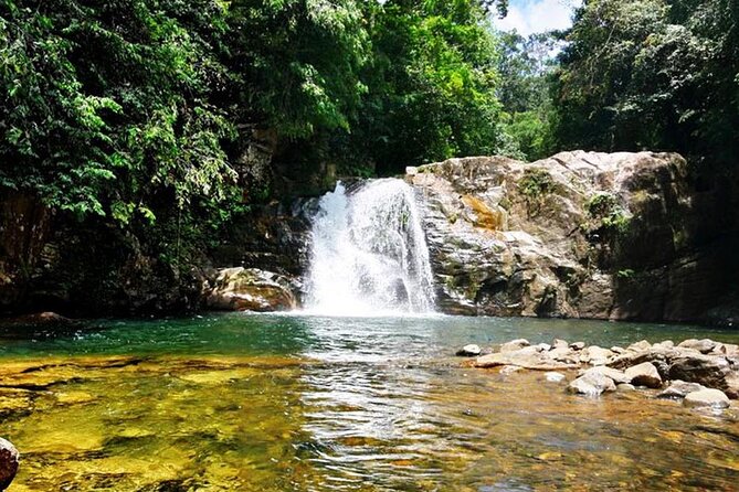 Sinharaja Rain Forest Tour From Udawalawa - Additional Information
