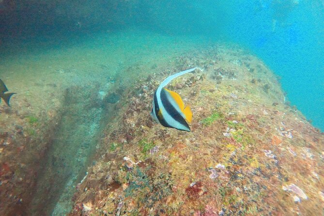 Small Group Snorkeling in Hikkaduwa - Meeting Point Information