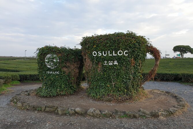 South of Jeju Island Package Tour in Alpaca Land - Booking Information