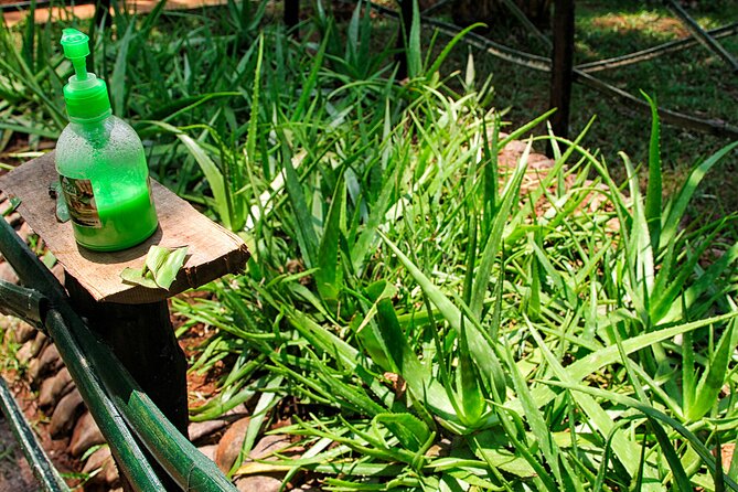 Spice Garden Visit and Cookery Demonstration From Pinnawala - What To Expect