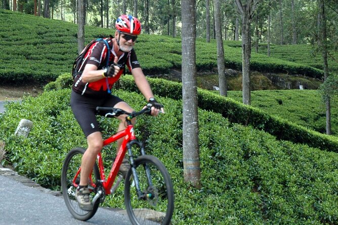 Tea Fields by Bicycle From Kandy - Price Details