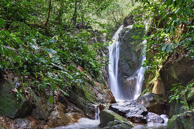 Templer Park Tour - a Rendezvous With Nature - Location Specifics