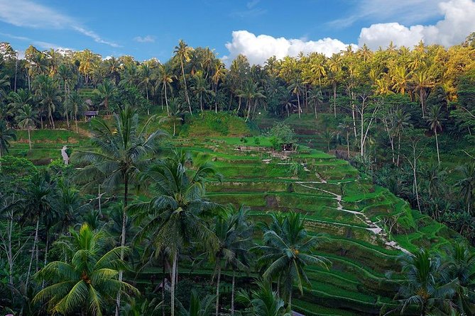 The Best Bali Instagram Tour (All Inclusive) - Accessibility and Safety Guidelines