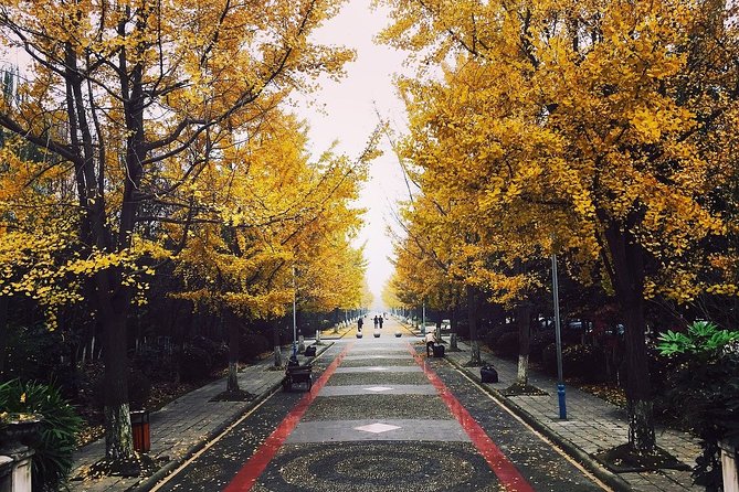 The Best of Chengdu Walking Tour - Price & Booking