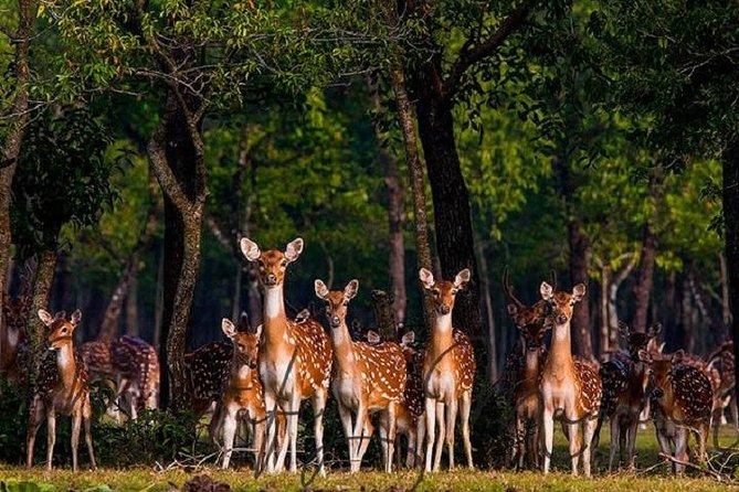 The Jungle Book Trip (The Sundorbon Forest of Bangladesh) - Booking and Cancellation