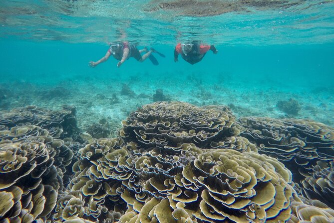 Trinco Tour a - Snorkeling & Island Hopping Tour - Booking Information