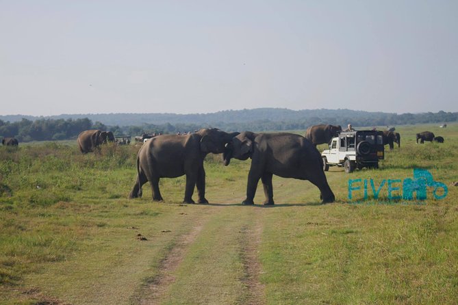 Udawalawe National Park Private Safari - Booking and Cancellation Policy