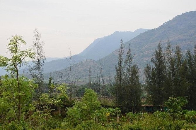 Visit to an Organic Farm in Cumbum Valley - Tamil Nadu - Free Cancellation and Reservation Option
