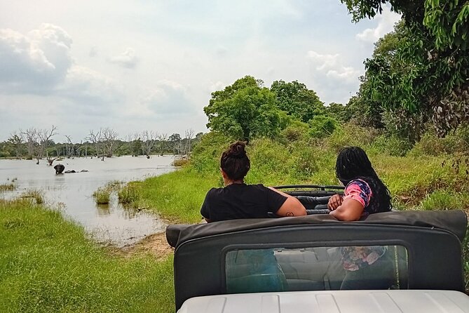 Wilpattu National Park Leopard Safari From Colombo/Negambo - Important Information