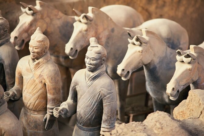 Xian Layover Private Tour With Terracotta Warriors - Additional Information and Important Note