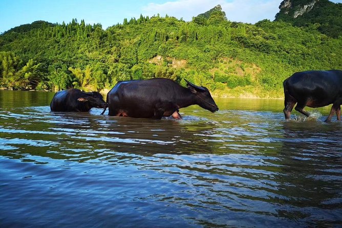 Yangshuo Countryside & Taichi Courses Private Day Tour - Frequently Asked Questions