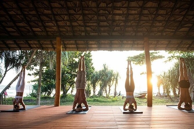 Yoga Class - Vinyasa Flow (Wellness Treatments Sri Lanka) - Booking Details