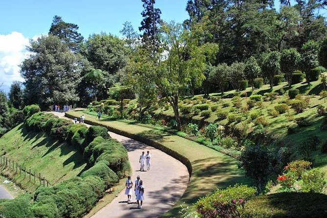 1 Day Tour of Nuwara Eliya - Private Tour From Kandy - Additional Tour Information
