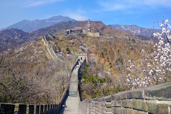 18-Day Classic China Tour: Xian-Chengdu-Zhangjiajie-Shanghai - Sightseeing Activities