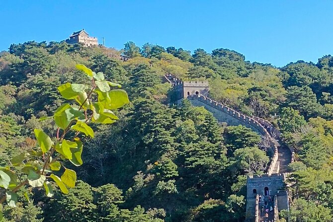 19 Days Classic China With Tibet Yangtze River Cruise Tour - Important Considerations