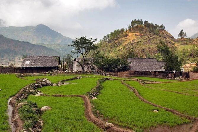 2-Day Trekking Adventure of Sapa From Hanoi With Night Bus - Meeting, Pickup, and Additional Details