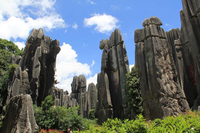 3-Days Dongchuan Red Land and Stone Forest Private Tour From Kunming - Price Details